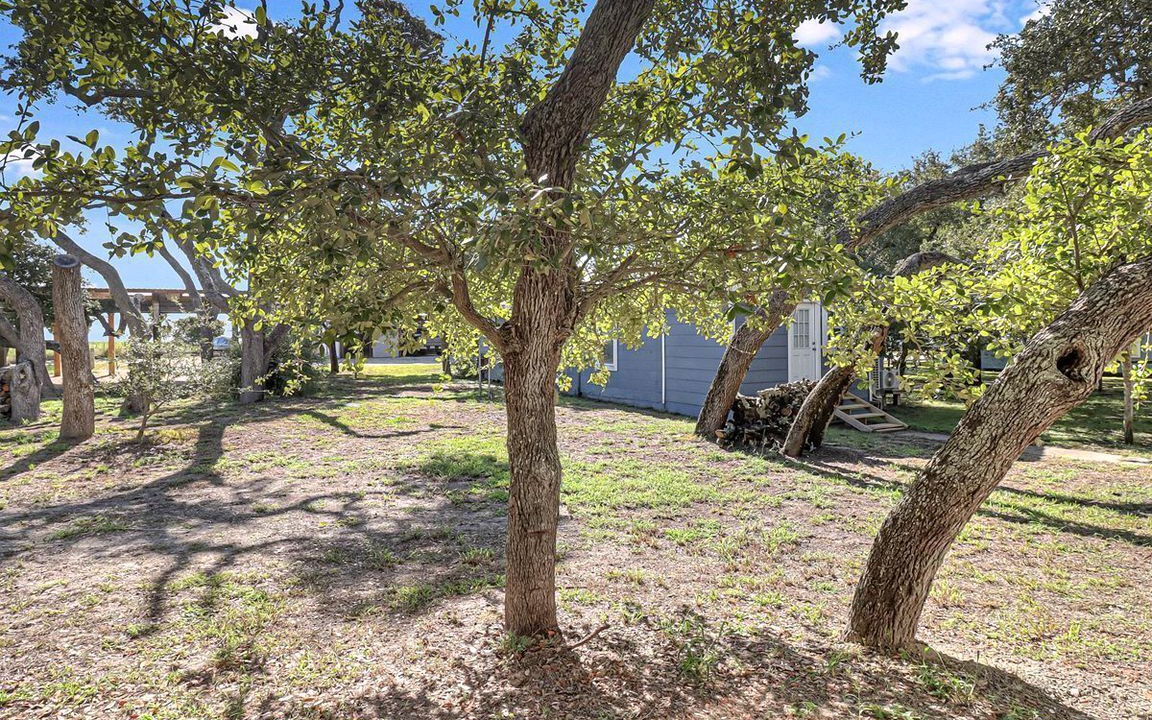 Photo of Outdoor in Rockport