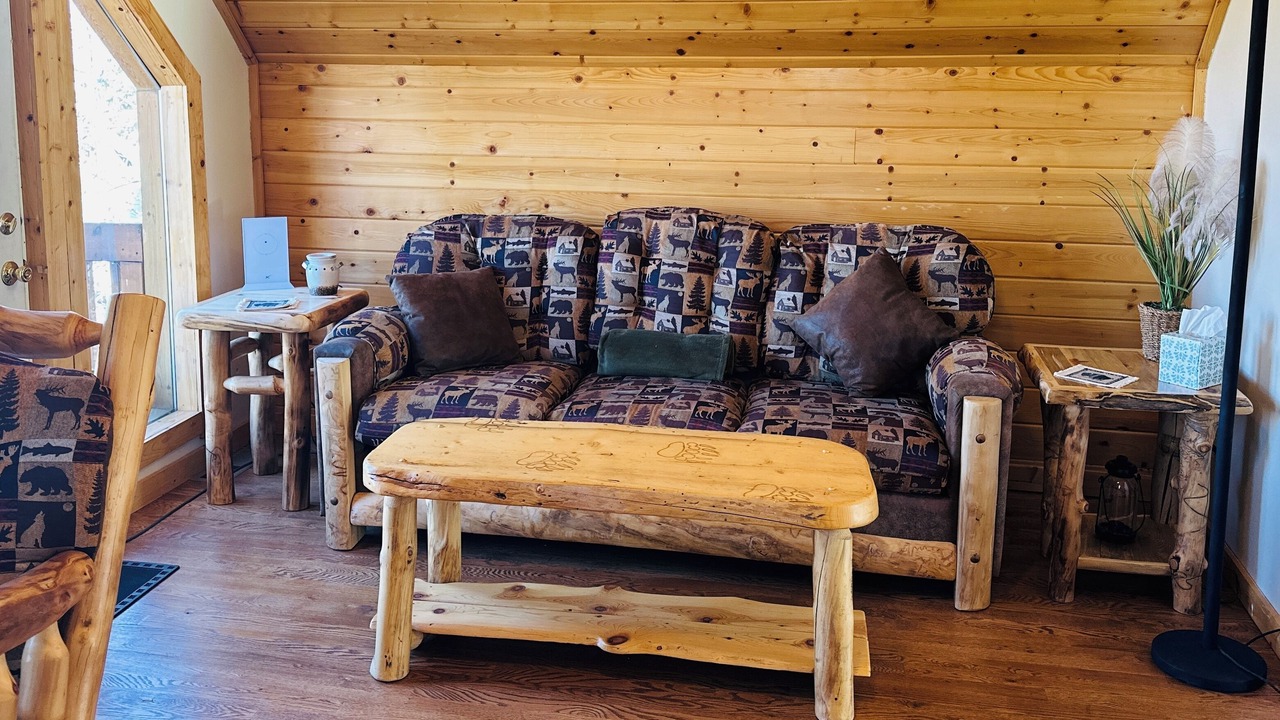 Photo of Livingroom in Hartsel