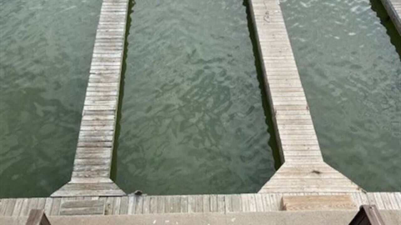 Photo of Others in Port O Connor