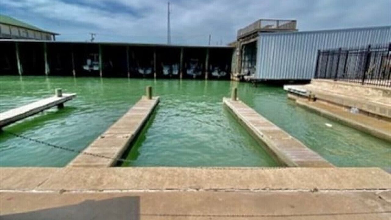 Photo of Others in Port O Connor