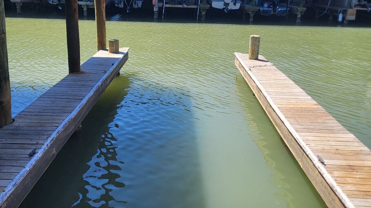 Photo of Others in Port O Connor