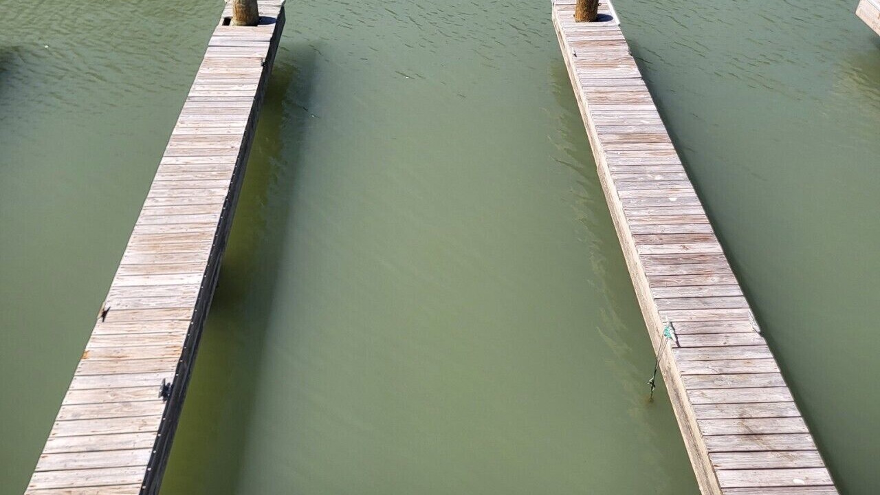 Photo of Others in Port O Connor