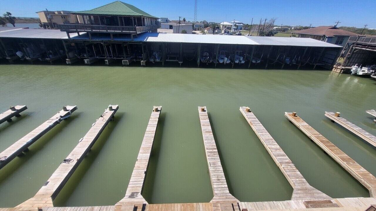 Photo of Others in Port O Connor