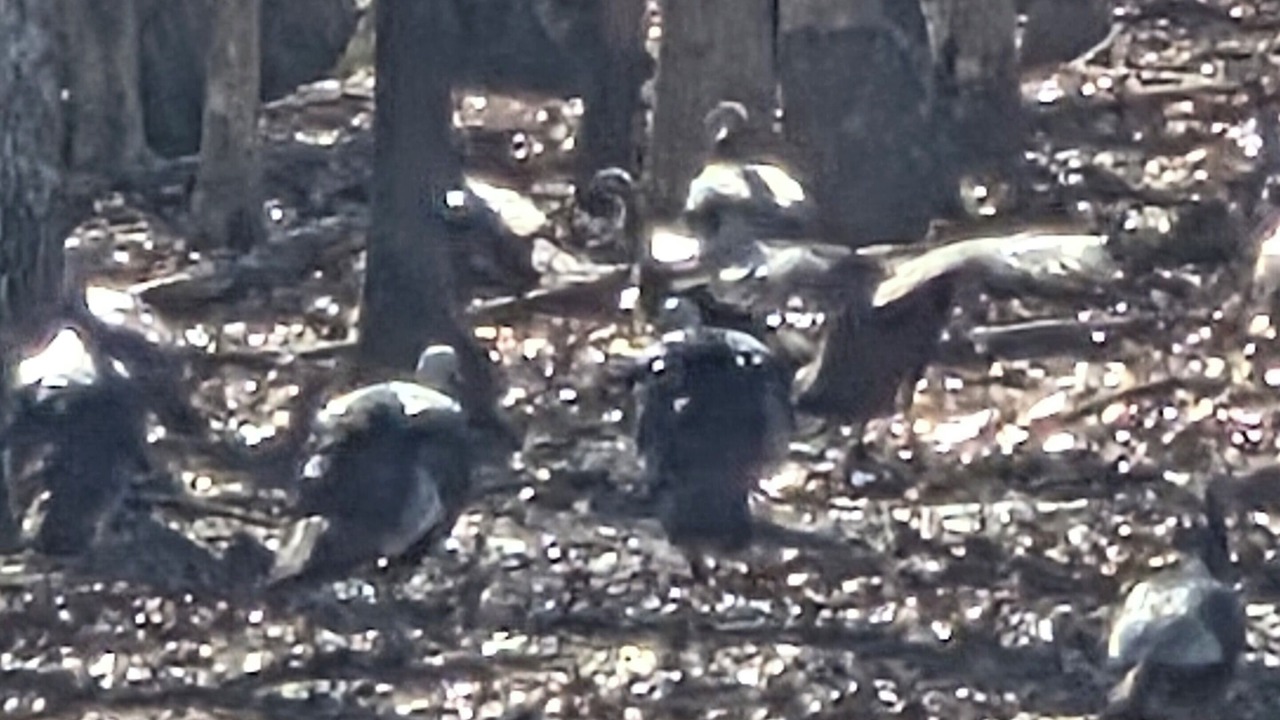 Photo of Others in Stover