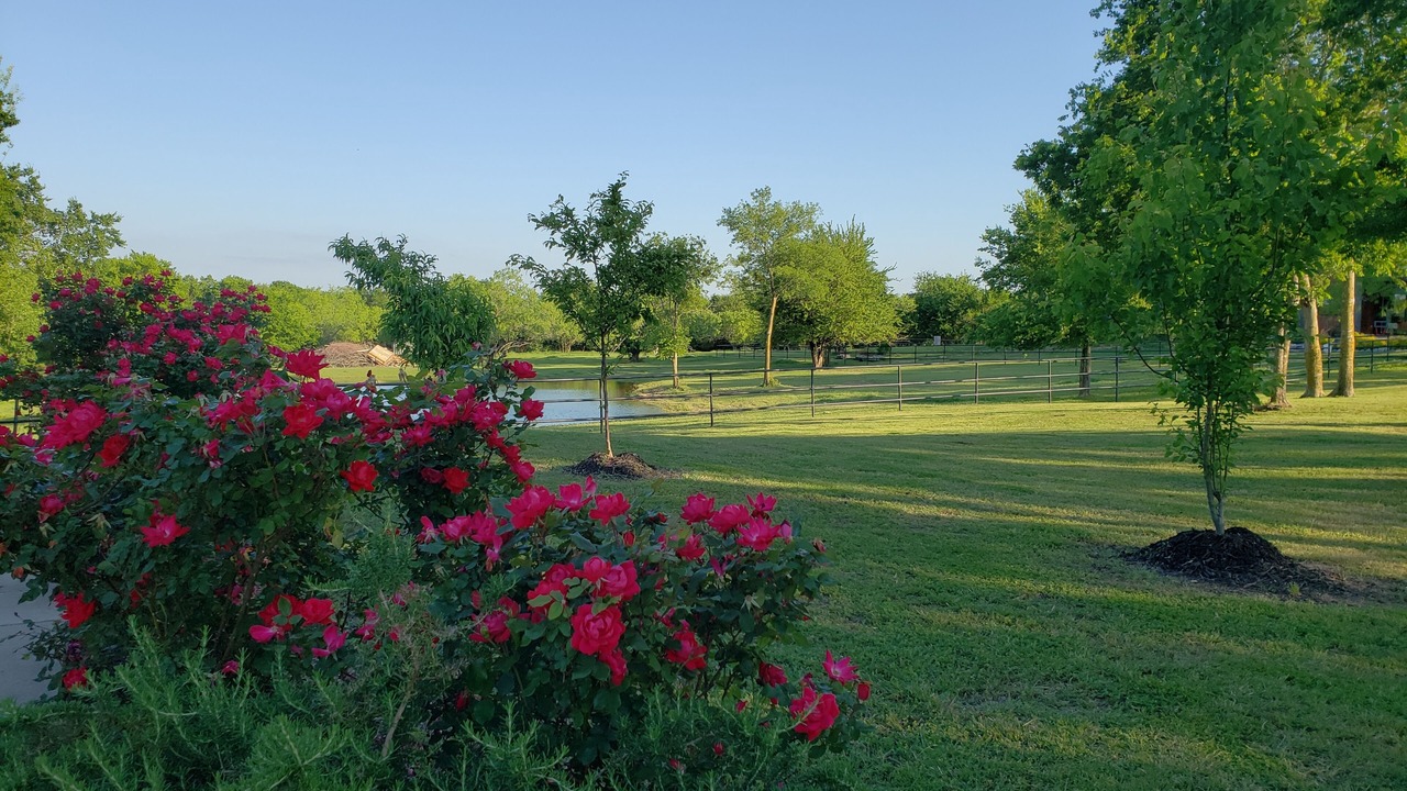 Photo of Outdoor in Ennis