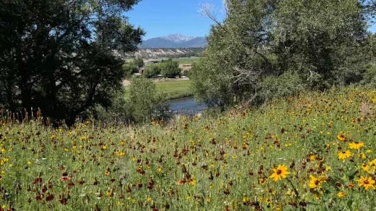 Photo of Others in Salida