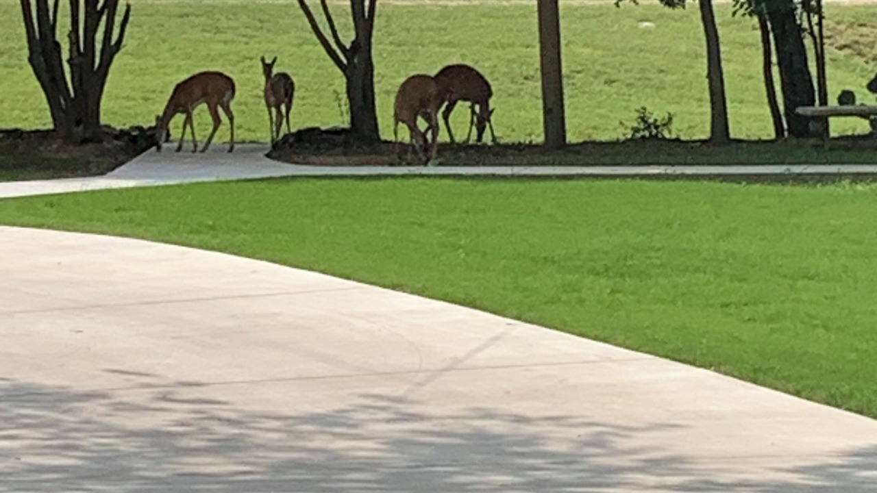 Photo of Others in Lake Whitney