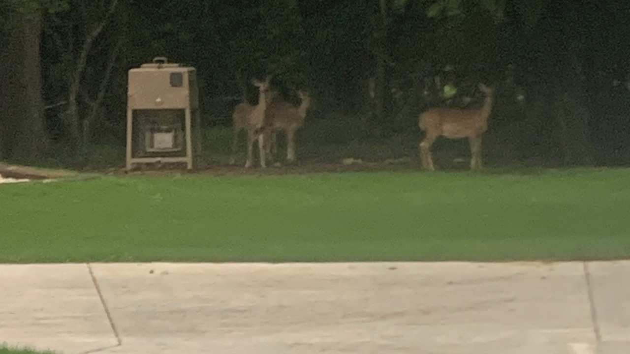 Photo of Others in Lake Whitney