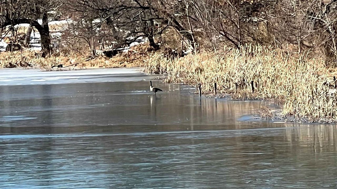Photo of Others in Medicine Park