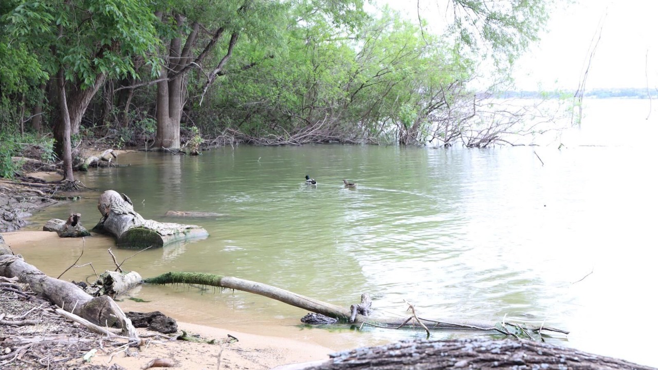 Photo of Others in Allen