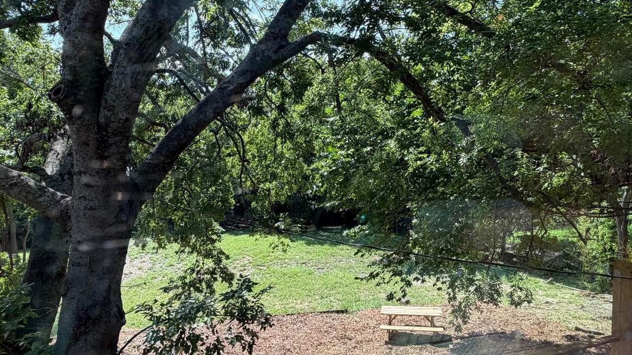 Photo of Outdoor in Allen
