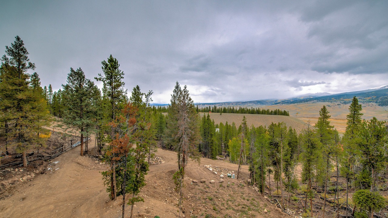Photo of Others in Twin Lakes