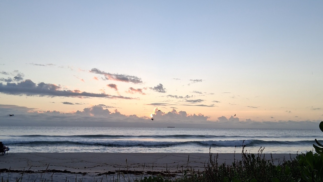 Photo of Others in Royal Poinciana
