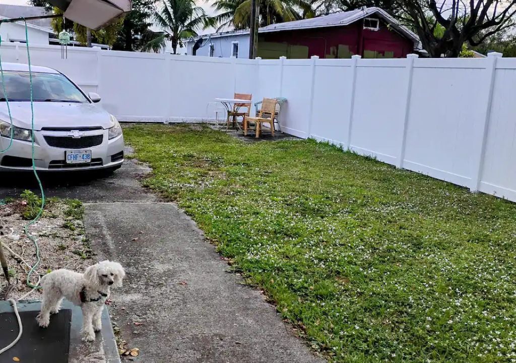 Photo of Outdoor in Royal Poinciana