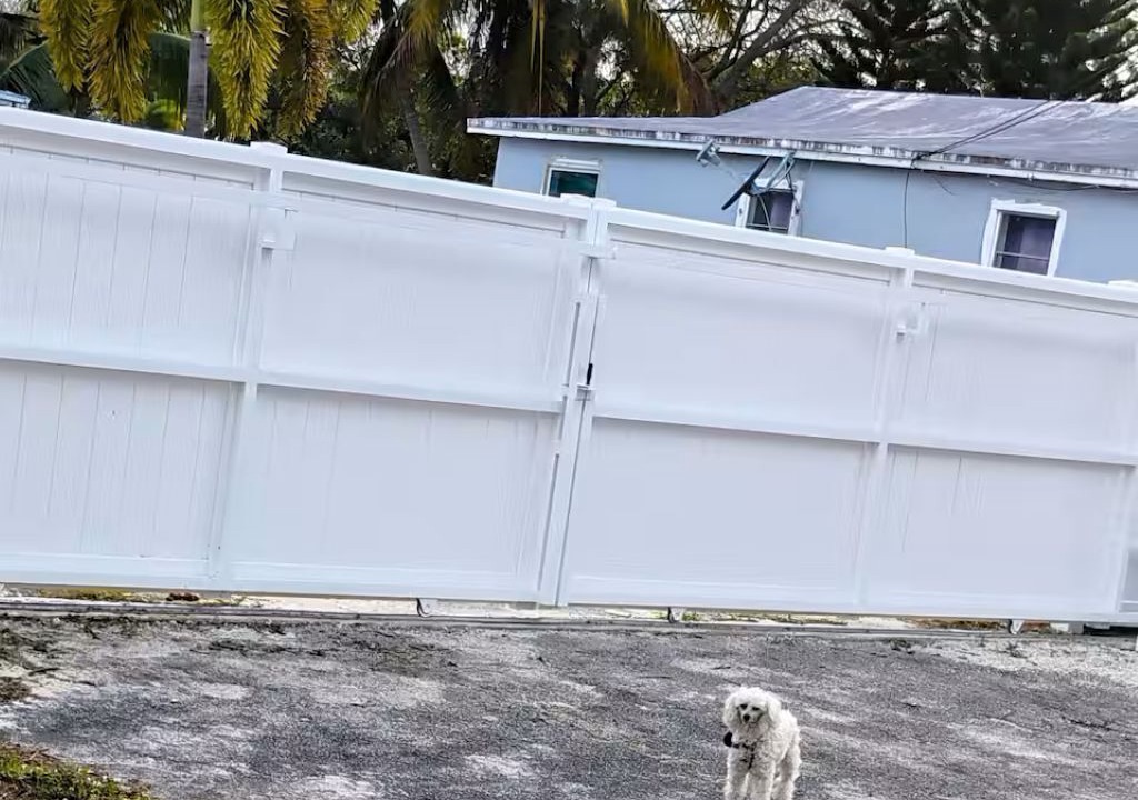 Photo of Outdoor in Royal Poinciana