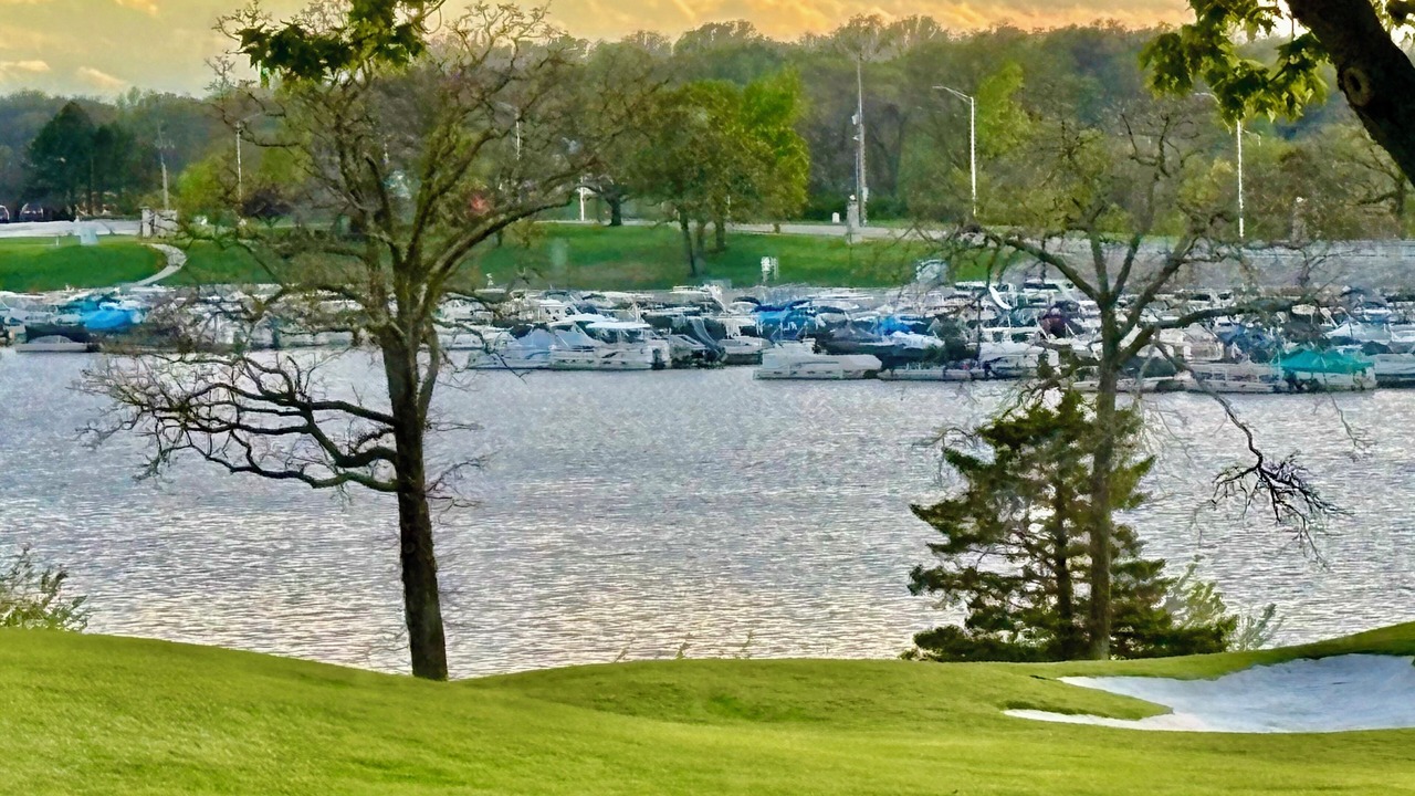 Photo of Others in Lee's Summit