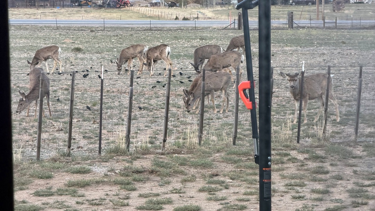 Photo of Others in Buena Vista