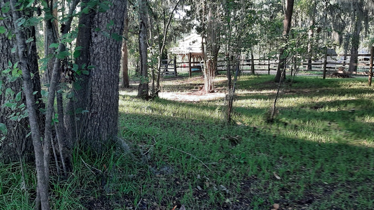 Photo of Outdoor in Votaw