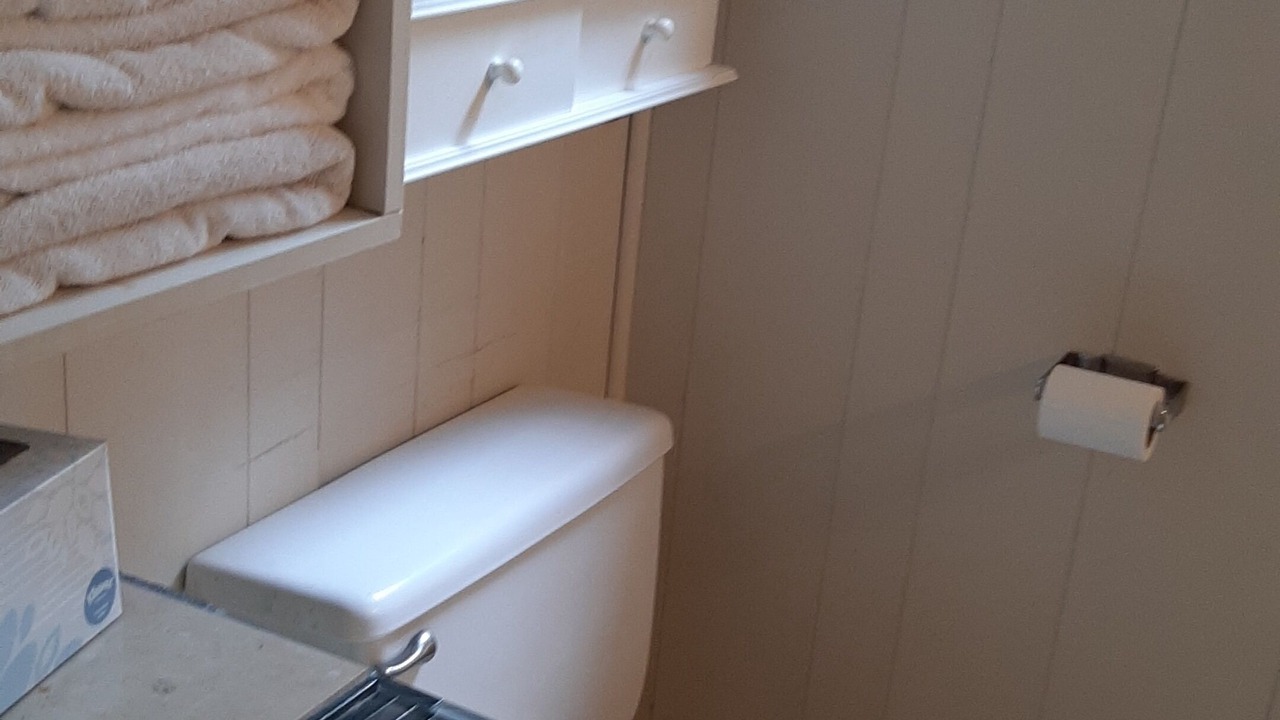 Photo of Bathroom in Votaw