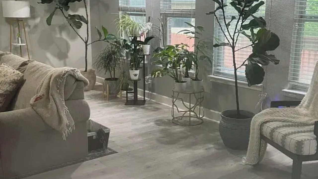 Photo of Livingroom in Wetmore