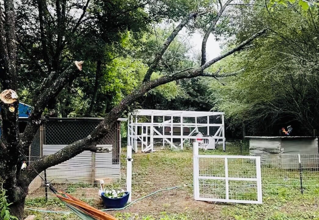 Photo of Outdoor in Murfreesboro
