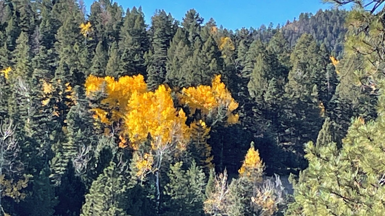 Photo of Others in Westcliffe
