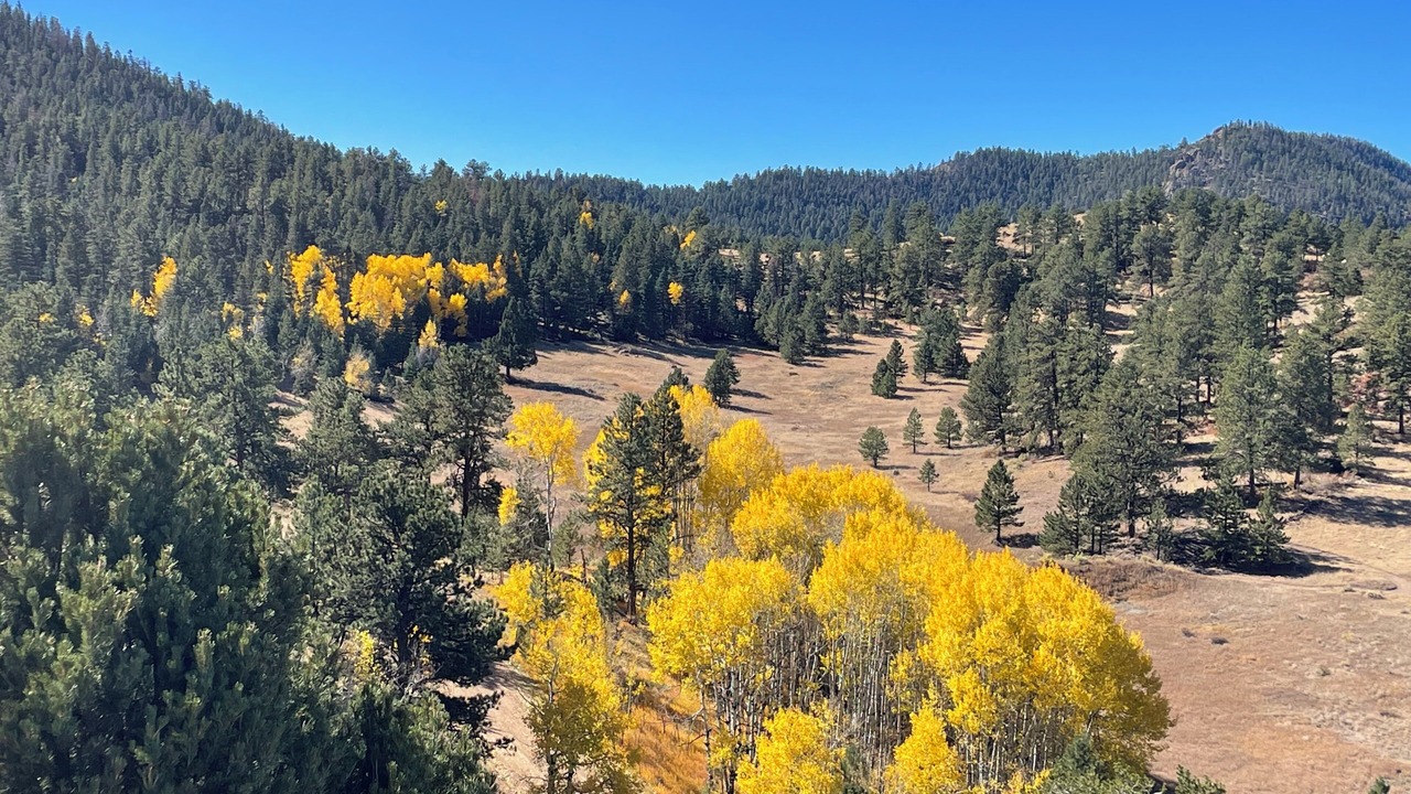 Photo of Others in Westcliffe