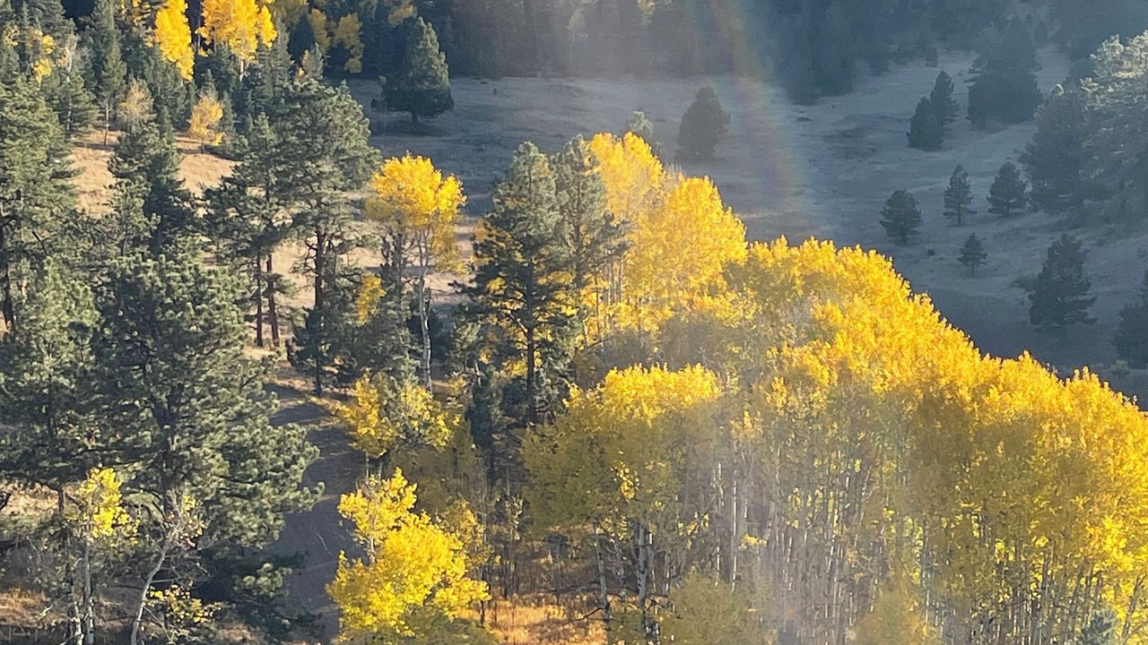 Photo of Others in Westcliffe