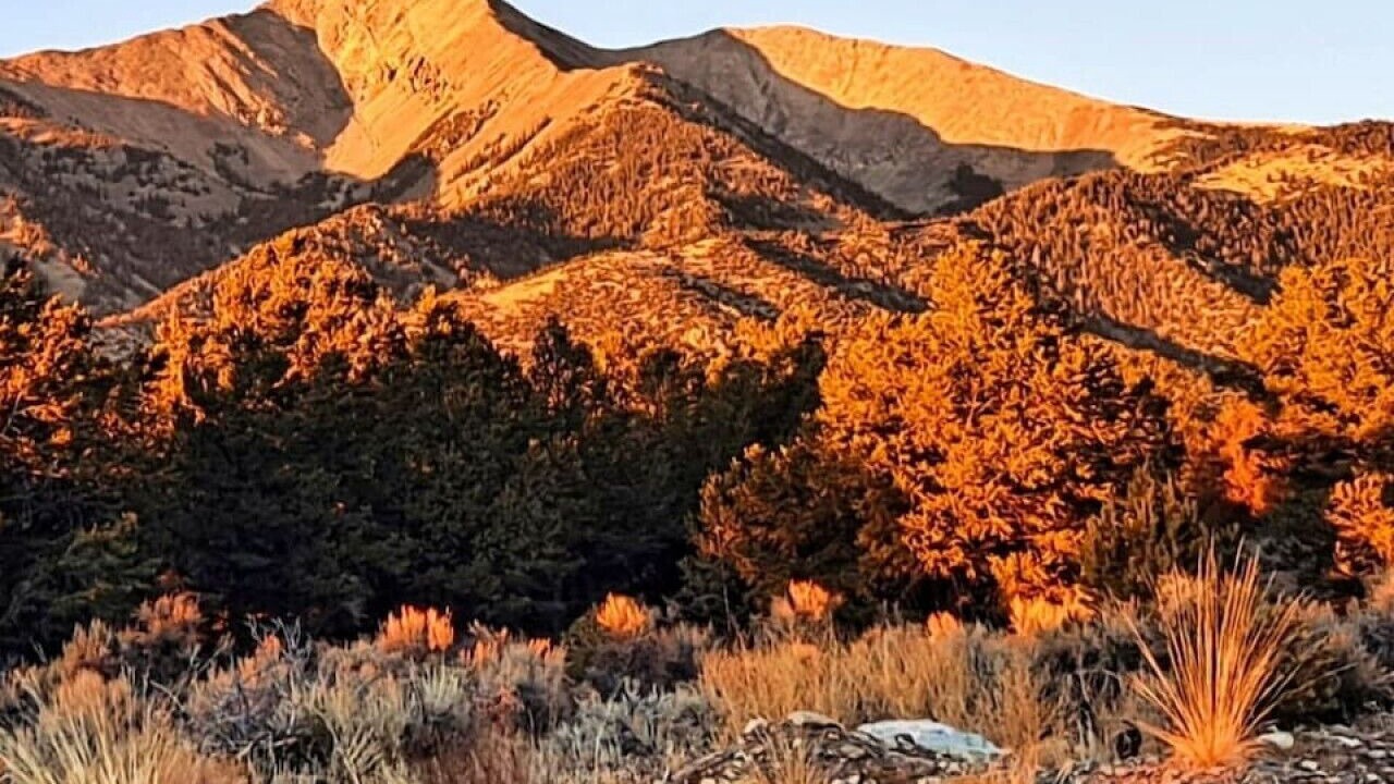 Photo of Others in Blanca
