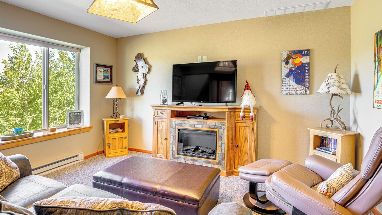 Photo of Livingroom in Indian Mountain