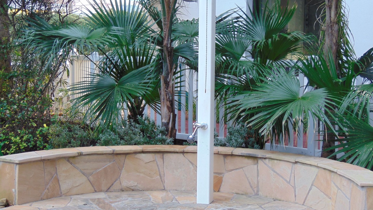 Photo of Outdoor in Galveston