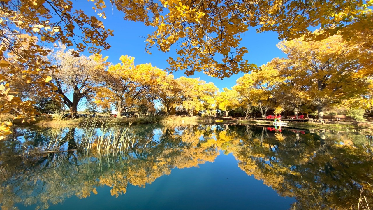 Photo of Outdoor in Lamy