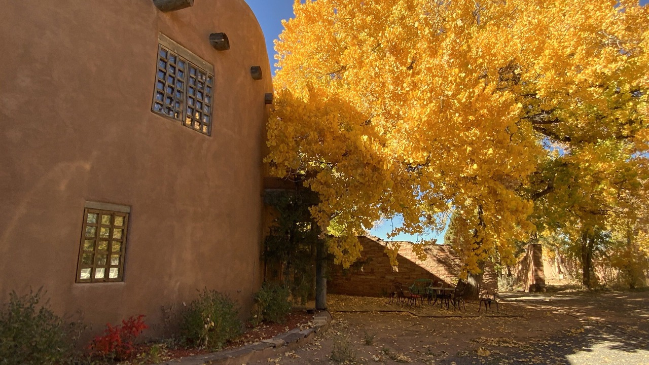 Photo of Outdoor in Lamy