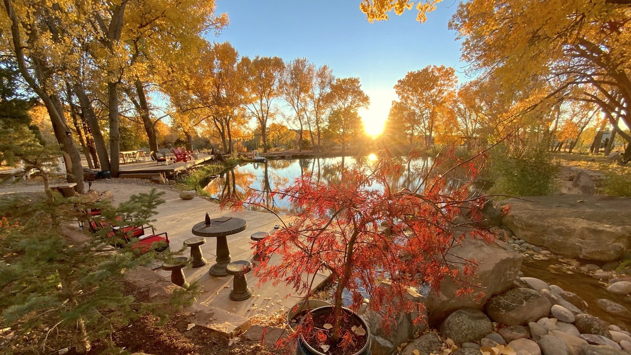Photo of Outdoor in Lamy