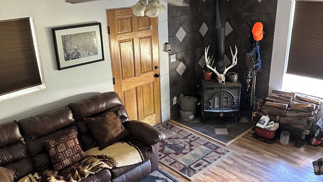 Photo of Livingroom in Red Wing