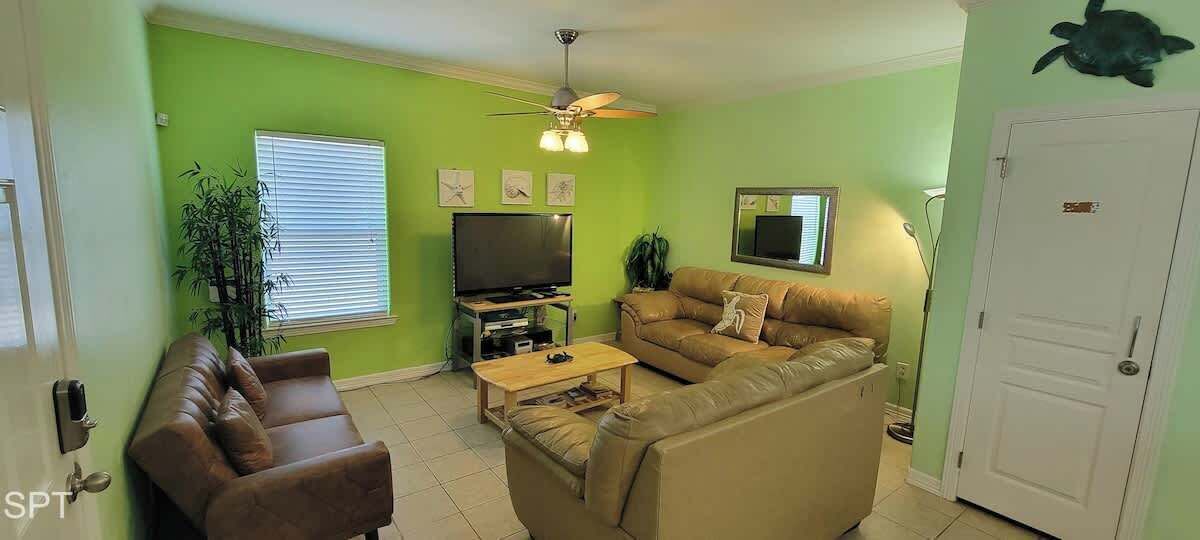 Photo of Others in South Padre Island