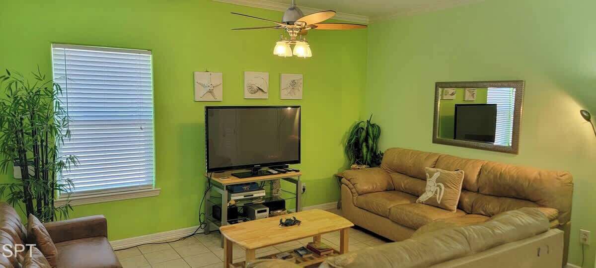 Photo of Others in South Padre Island