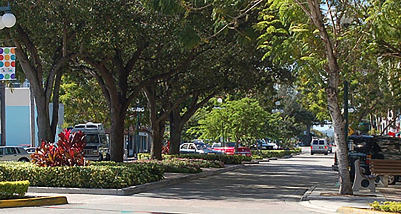 Photo of Others in Royal Poinciana