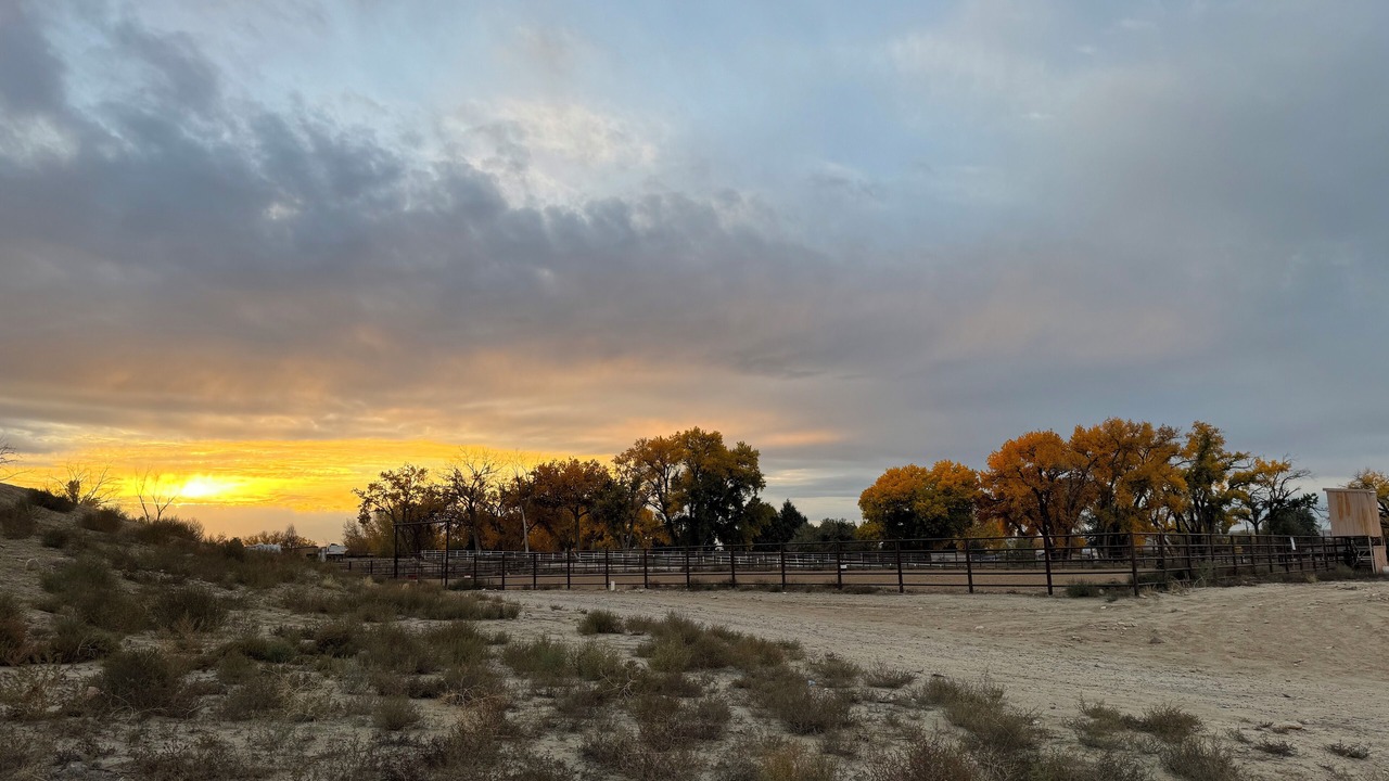 Photo of Outdoor in Farmington
