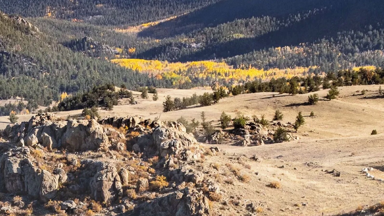 Photo of Others in Indian Mountain