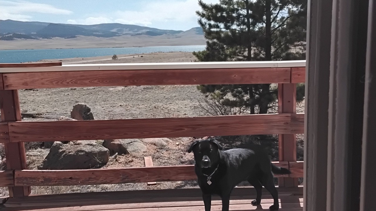 Photo of Others in Lake George