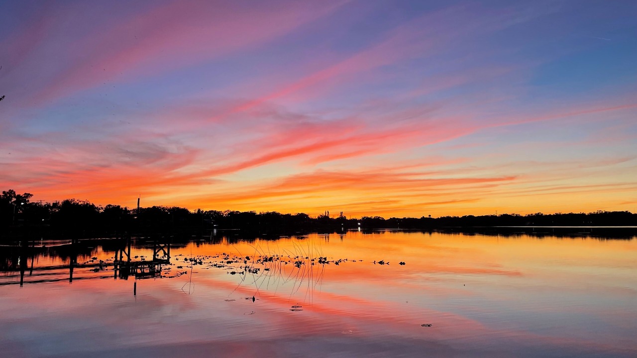 Photo of Outdoor in Winter Haven