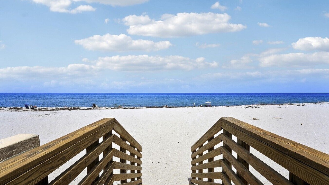 Photo of Others in Palm Beach