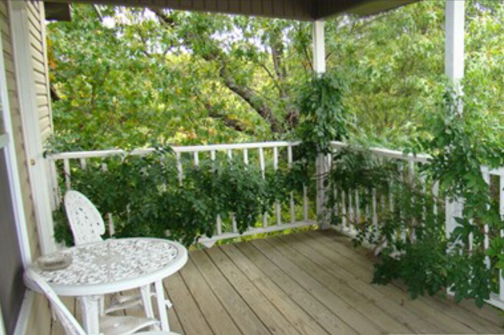 Photo of Outdoor in Ponce De Leon