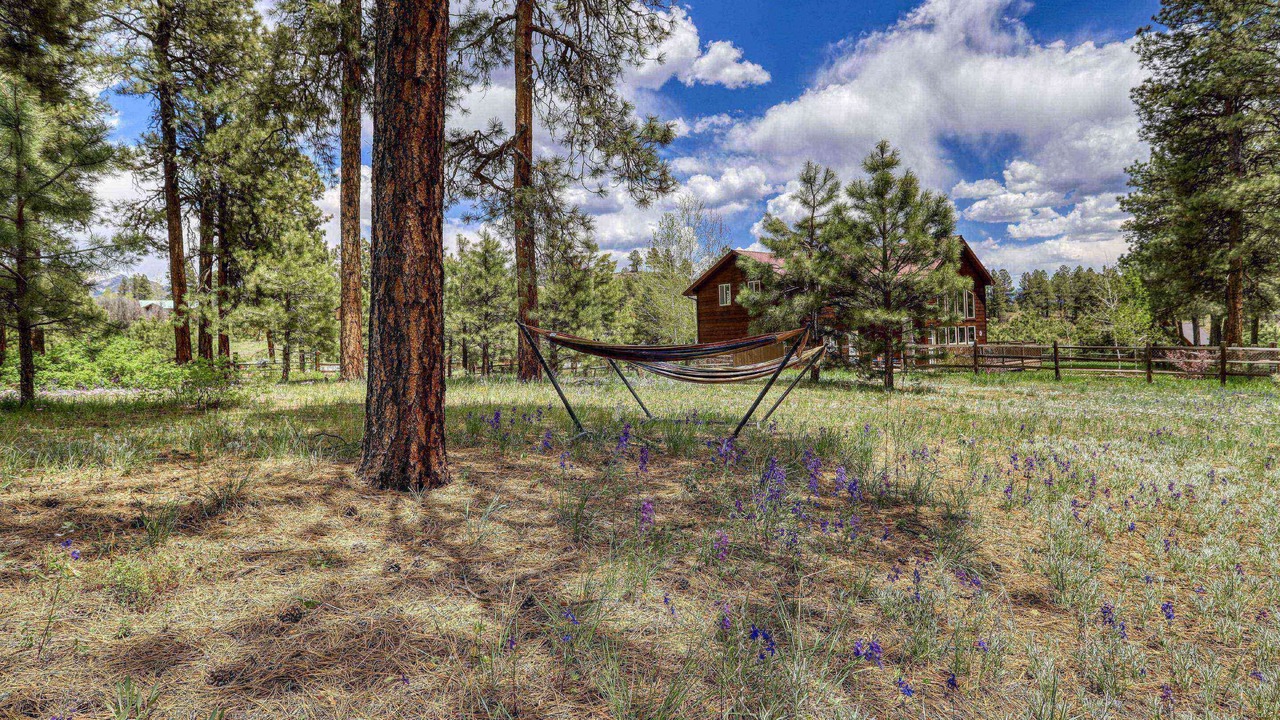 Photo of Outdoor in Pagosa Highlands