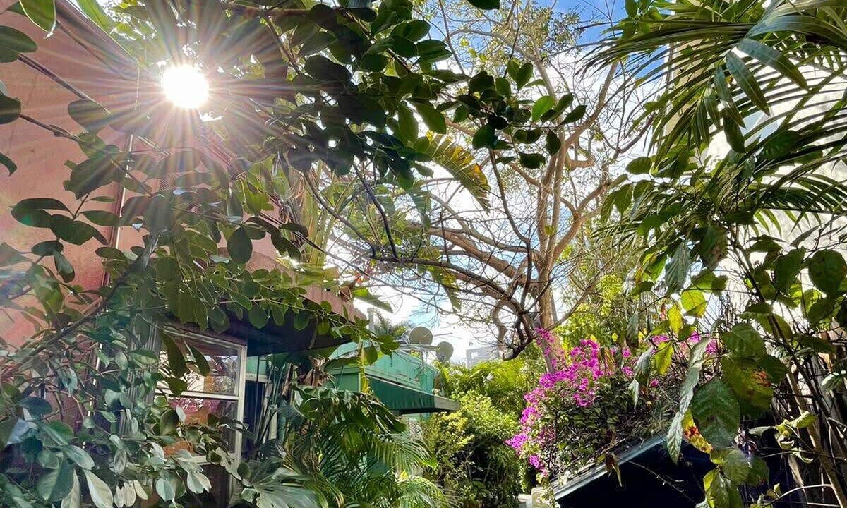 Photo of Outdoor in Victoria Park