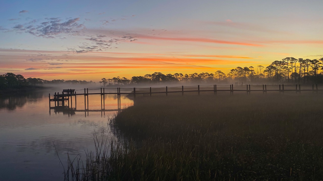 Photo of Others in Alligator Point