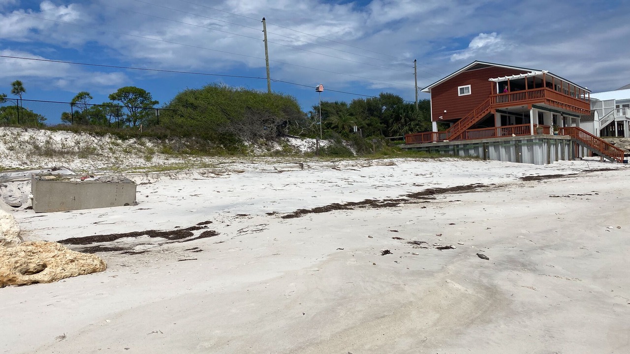 Photo of Outdoor in Alligator Point