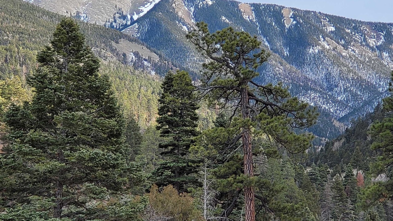 Photo of Others in La Veta