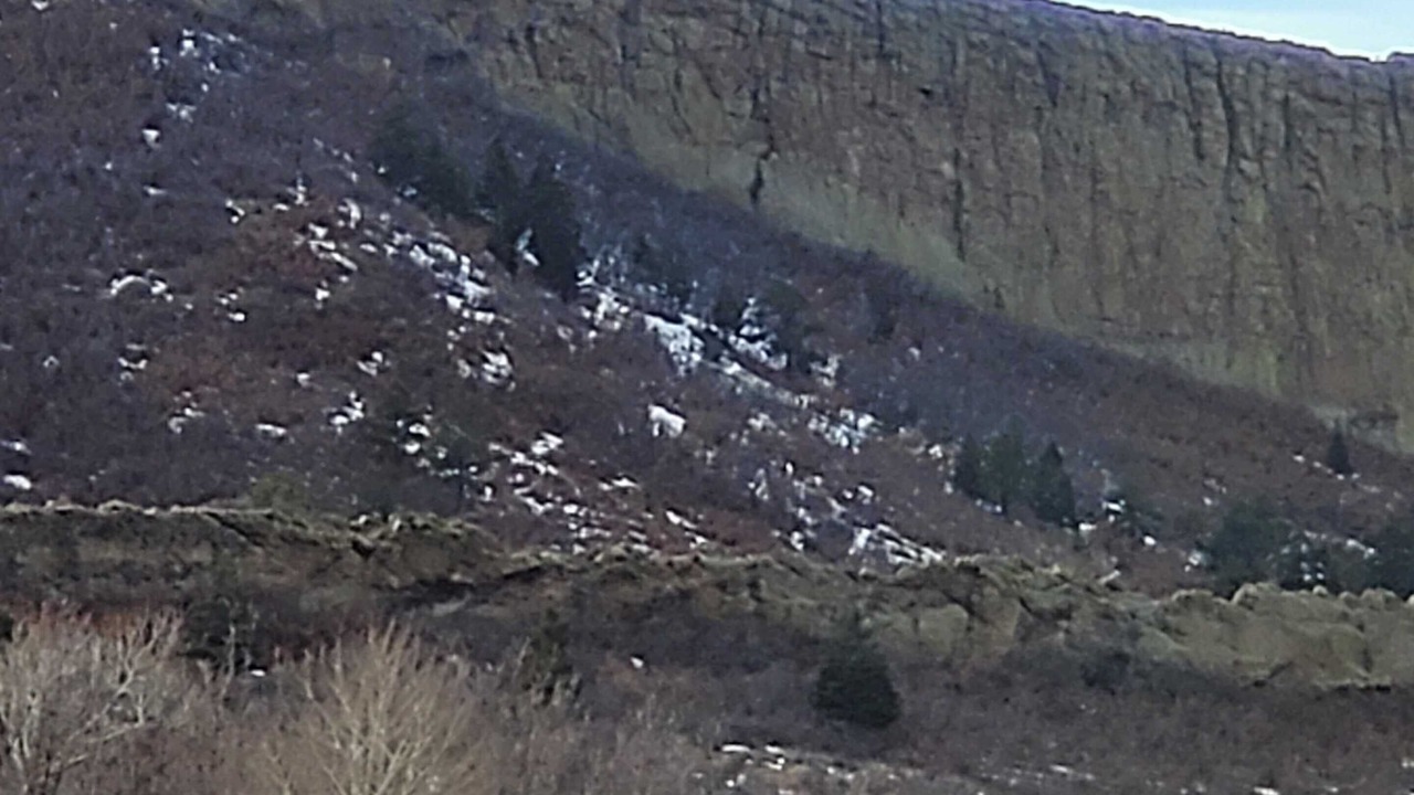Photo of Others in La Veta